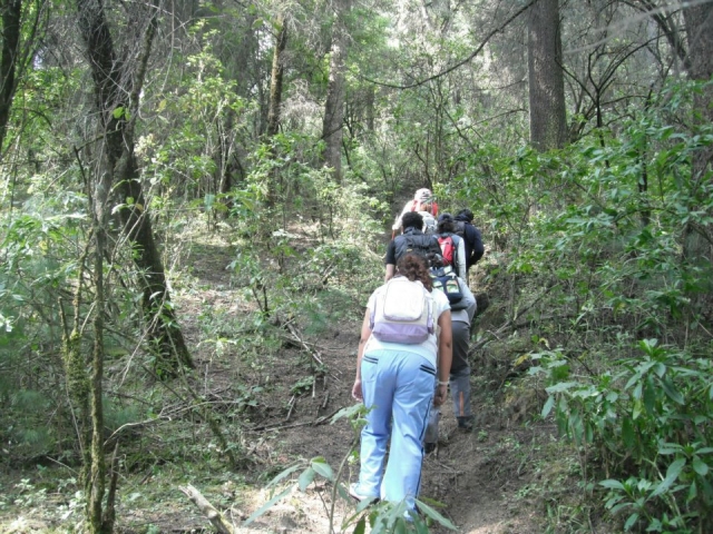  hiking in the forest 